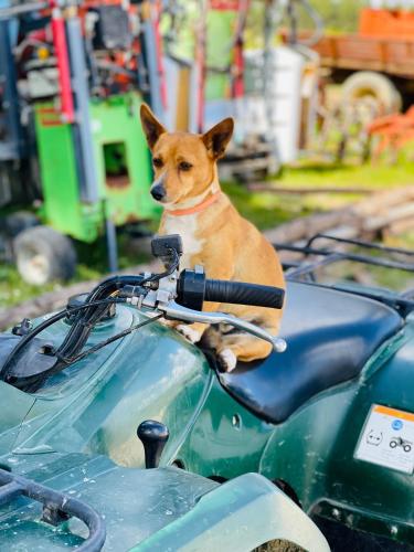 Monte do Lago, Pegões