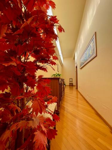 Orchidea Hotel de charme Matera