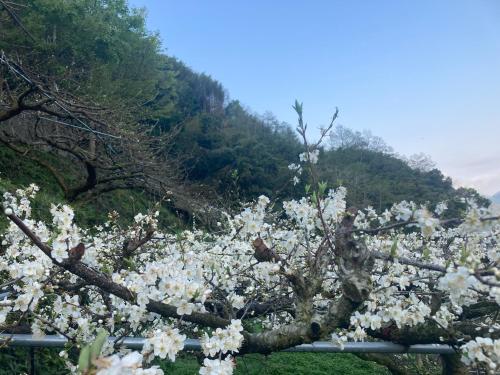 La La mountain junlin Farm - 주변 환경