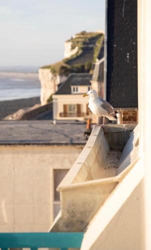 Le COURLIS vue panoramique sur la mer, balcons - Tap to explore photos