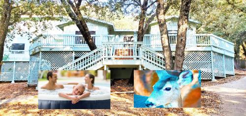. Pine Hills Cabin in Julian