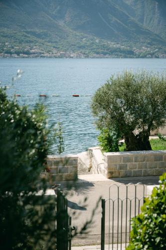 Corso Levante Luxury Suites Dobrota - image 11