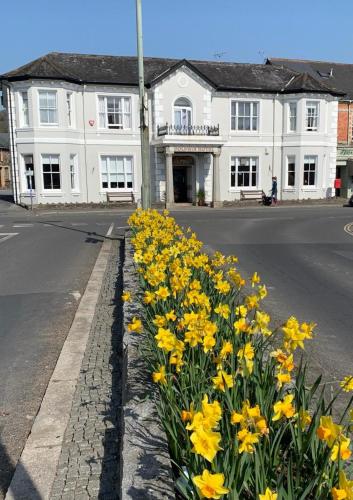 Dolphin Hotel Bovey Tracey