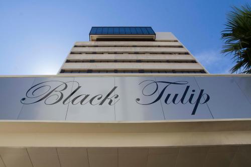 Hotel Black Tulip - Porto Gaia 波尔图盖亚黑郁金香图片