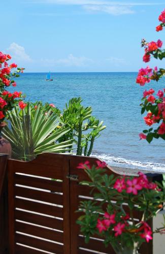 Frangipani Beach Hotel