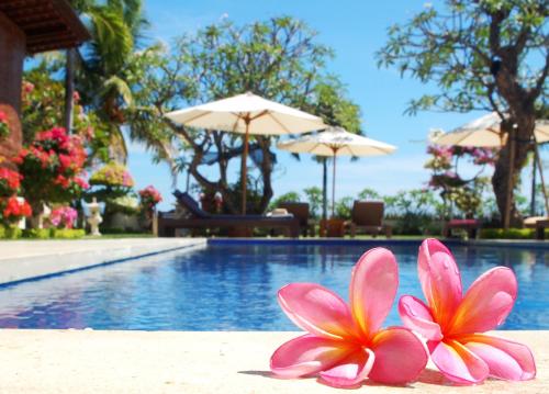 Photo - Frangipani Beach Hotel