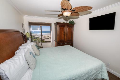 G313 - Panoramic Perfection - image 7