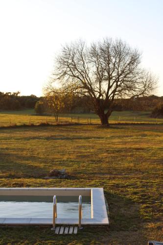 Monte das Cobras - Country House in Canaviais