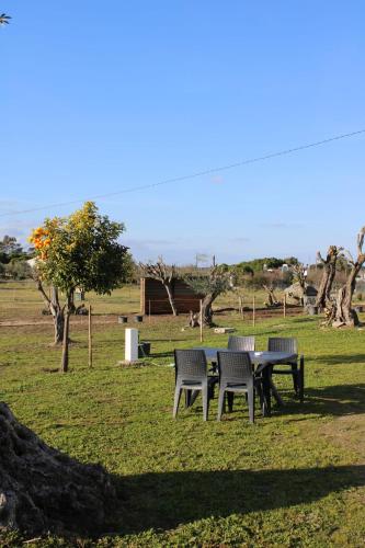 Monte das Cobras - Country House in Canaviais