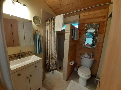 Anthurium Hale - image 6