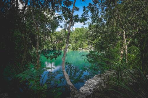 Wakax Hacienda - Cenote & Boutique Hotel in Tulum, Mexico
