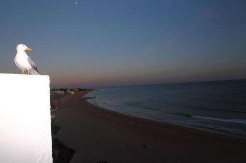 Rocamar Exclusive Hotel & Spa - Adults Only - image 3