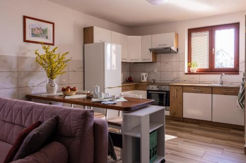 virtuve, Ubytovani U Vavru in Pluhův Žďár