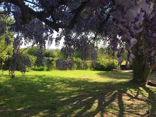 Gites Le Segur - Wisteria Cottage cottage Bersac-sur-Rivalier