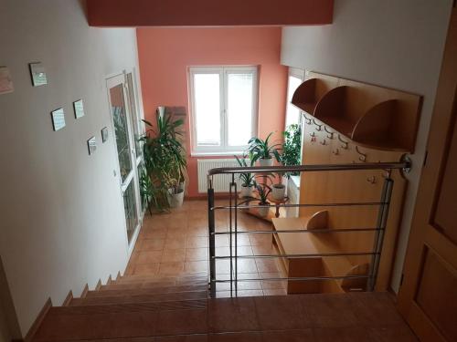 Apartmán Jantoľák - Apartment - Zuberec