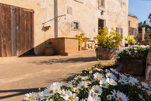 Finca Cavea