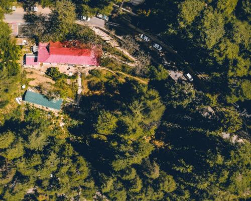 Seclude Shimla, Taraview, Shimla (Foto 10)