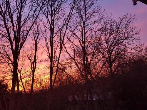 Studio EifelGlück (Studio EifelGluck) in 埃特靈恩