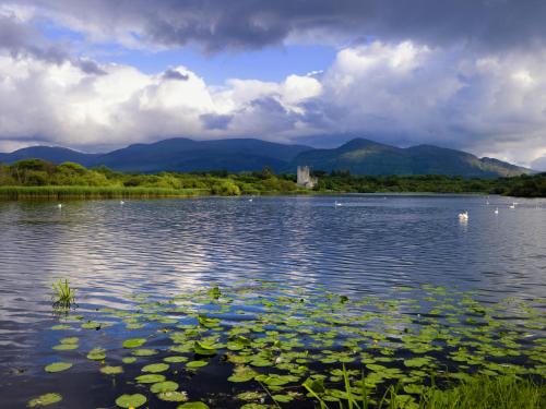 Innisfallen Holiday Homes - image 7