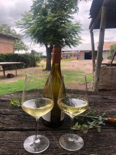 Surrounding environment, La Casona de Don Salo in Near Center