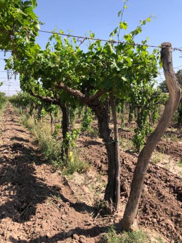 Surrounding environment, La Casona de Don Salo in Near Center