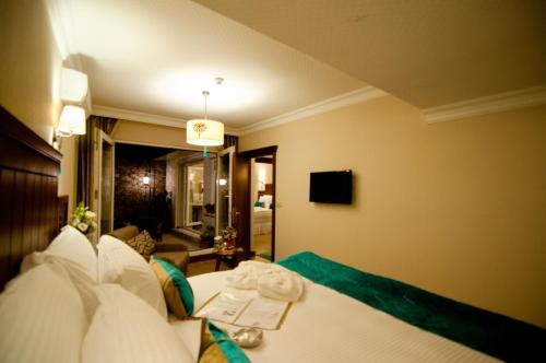 Best Point Suites Old City,Istanbul, Istanbul (fotografie 3)
