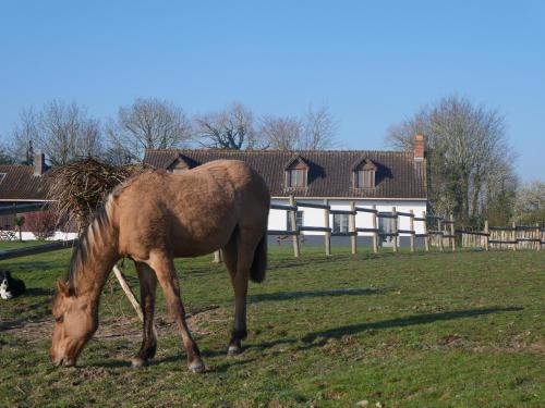 Chambres d'Hôtes et Gîte de La Vieille Ecluse