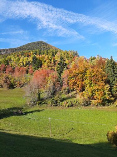 Hotel Trudnerhof im Naturpark Trudnerhorn