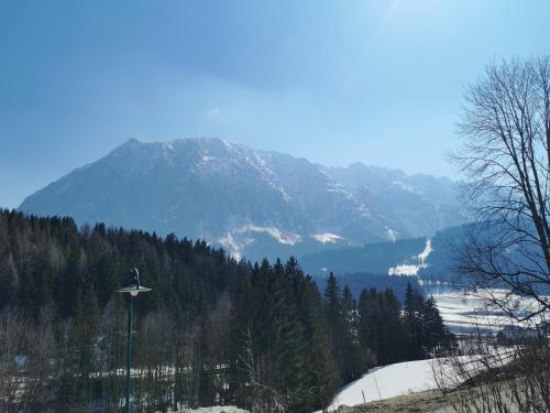 Am Grimming 14, Tauplitz (fotografie 6)
