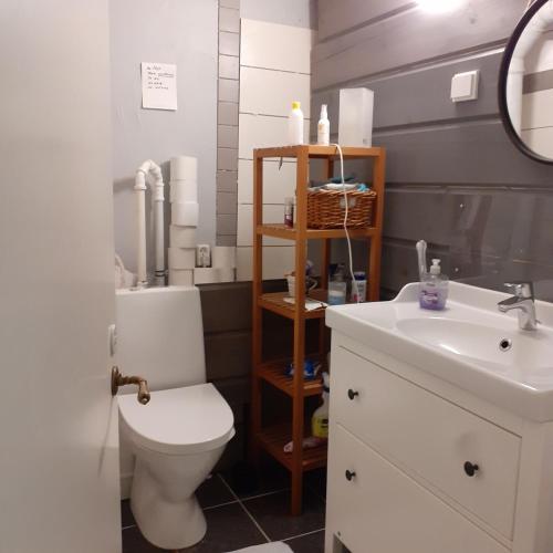 Room in Villa Emilia, Espoo (fotografie 10)