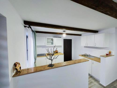 virtuve, Casa Radu in Carlibaba