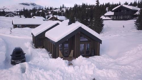 Unique cabin with fantastic lake view, sauna, ski & EV outlet in สวิงวูลล์