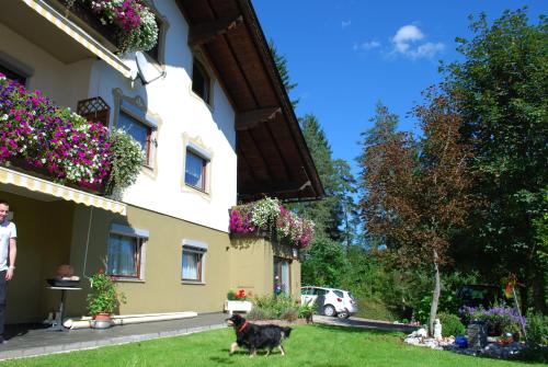  Appartment Kahlhammer, Unterkunft in Hermagor