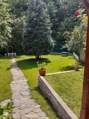 Pension Calborean - image 3