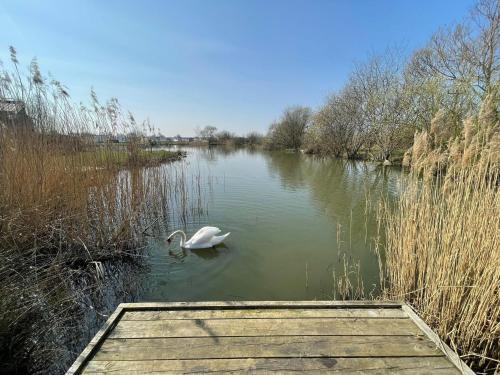 Indulgence Lakeside Lodge i3 with hot tub, private fishing peg situated at Tattershall Lakes Country Park