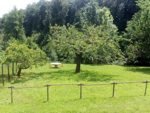 Appartamento La Casa nel Bosco