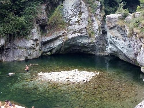 Appartamento La Casa nel Bosco