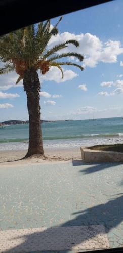 Bandol Studio place de la Paroisse - Ile de Bandol