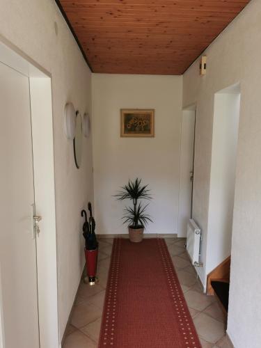 La Casa Suciu - Apartment - Forchtenberg