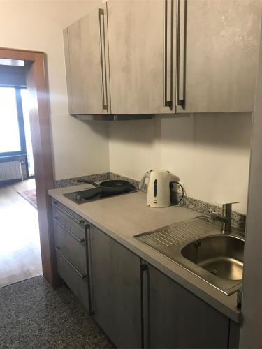 Kitchen, Fur Pendler und Monteure oder Ferienwohnung zum Erholen in Ober-Ramstadt