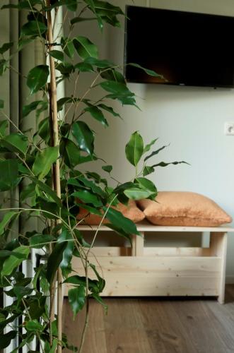 Bed and Breakfast het Groentje in Штапхорст