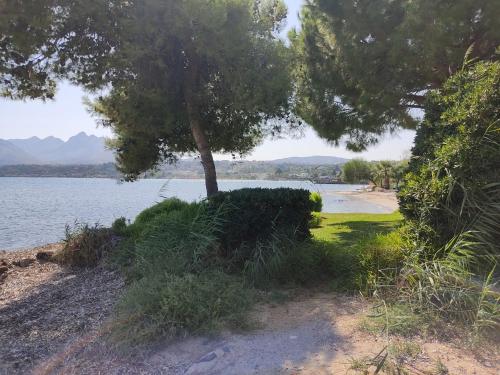 Villa Rossana sul mare gîte à louer Santa Flavia