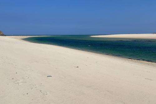 Picture of Lovely 1 Bed Flat In Victorian House 300M Seafront