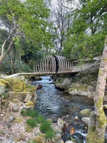  Casa 2 Gallos in Ourense
