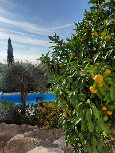 Les Hauts de la Riviera – Cabris, CT