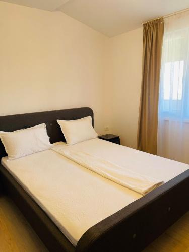 1 queen bed, 1 sofa bed