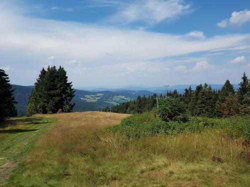 Traumurlaub im Bayerische Wald