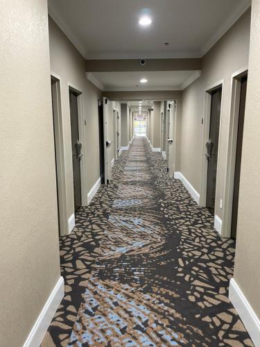 Sleep Inn & Suites Niceville - Destin - 숙소 외관