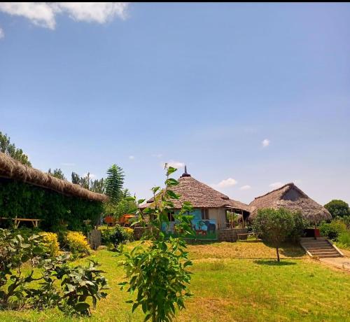 Jacaranda Bush Camp