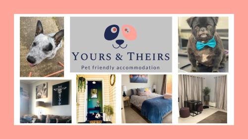 Yours and Theirs Pet Friendly Accommodation - Apartment - Myrtleford